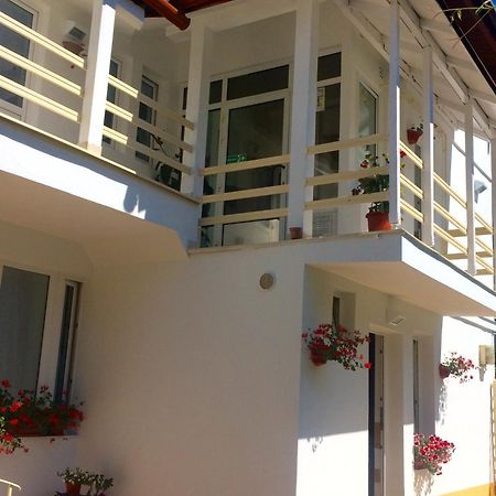 Suri Guesthouse Braşov Dış mekan fotoğraf