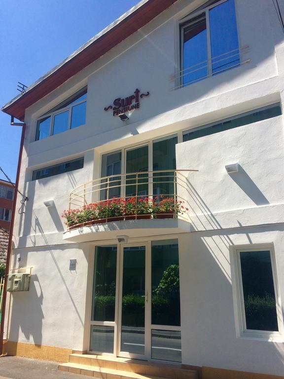 Suri Guesthouse Braşov Dış mekan fotoğraf